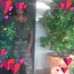 Beverly Royster - Facebook
