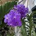 Beverly Rudd - Facebook