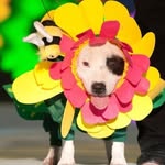 I LOVE GEORGE LOPEZ - @beverlyhills_chi2rules - Instagram