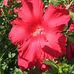 Beverly Runyan - Facebook