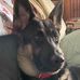 Bev Rupert - Facebook