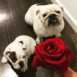 Beverley And Rupert - @bevandrupert - Instagram