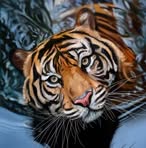 Beverly Rusch - Facebook