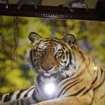 Beverly Rusch - Facebook