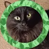 Beverly Rush - @beverly.rush - TikTok