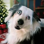 Beverly Smith Rush - @beverly.rush - Instagram