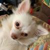 user6104983445711 - @beverlyrushing2011 - TikTok