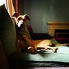 Beverly Ruth - @oh_strewth_beverly_ruth - TikTok