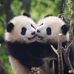 Beverly Rutledge - Facebook
