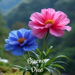 Beverly Sánchez - @beverly.sanchez.1614460 - Instagram