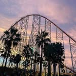 Beverly Schaefer - @beverlyschaefer849 - Instagram