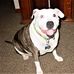 Beverly Schaefer - Facebook