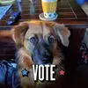 beverlyschaefer43 - @beverlyschaefer43 - TikTok