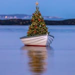 Bev Schultz - @beverlyschultz52 - Instagram