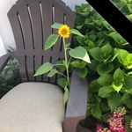 Beverly Schultz - @beverlyschultz90 - Instagram