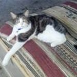 Beverly Schultz - @beverly.schultz.52 - Instagram