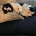 Beverly Seay - Facebook