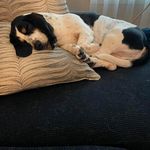 Beverly Seay - @bevie54 - Instagram