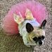 Bev Seitz - Facebook