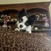 Beverly Sharp - Facebook