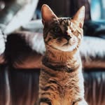 Beverly Stahn Shay - @beverlyhas1eye - Instagram