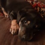 Beverly Simms - @beverlysimms9225 - Instagram