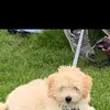 Beverly Singleton - @beverly.singleton - TikTok