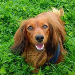 Beverly Slagle - @beverlyslagle311 - Instagram
