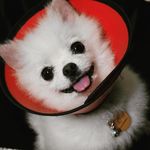 Hi, I'm Beverly Snow - @beverlysnow306 - Instagram