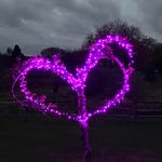 Beverly Steele - @beverly.steele.50999 - Instagram