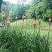 Beverly Steele - Facebook