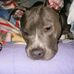 Beverly Stephen - Facebook