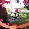 beverlystowe388 - @beverlystowe388 - TikTok