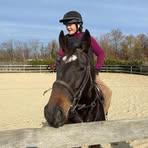 Beverly Searle Strauss - Facebook