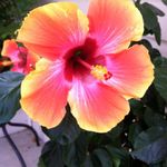 Beverly Stumpe - @beverlystumpe - Instagram