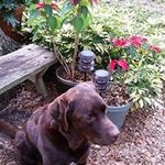 Beverly Swank - @beverly.swank - Instagram