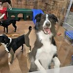 Beverly Swanson - @beverlysw2012 - Instagram