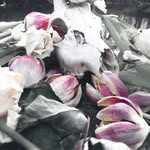 Beverly Swanson - @beverlyswanson79 - Instagram