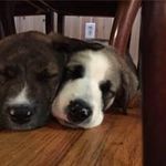 Beverly Swanson - @beverly_swanson - Instagram
