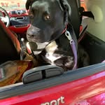 beverlyswanson - @beverlyswanson - Instagram
