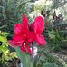Beverly Terrell - Facebook