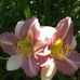 Beverly Terrell - Facebook