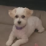 Beverly Dorn Thornton - @beverlythornton347 - Instagram