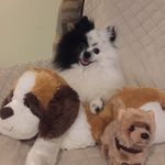 Beverly Thornton - @bevdolor591 - Instagram