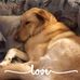 Beverly Thornton - Facebook