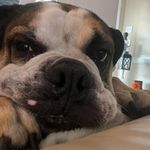 Beverly Thornton Stroud - @beverlystroud1973 - Instagram