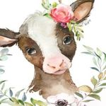 Beverly Tipton - @thecraftybovine - Instagram