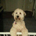 Beverly Tipton Balgenorth - @bevalah - Instagram