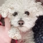 Beverly vos - @beverlyvos1 - Instagram