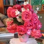 Beverly Voss-Cyr - @beverlyvosscyr - Instagram